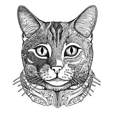 Basit bir kedi kafası çizimi. izole edilmiş arkaplan, vektör illüstrasyonu, etiket, etiket, t-shirt yazdırma
