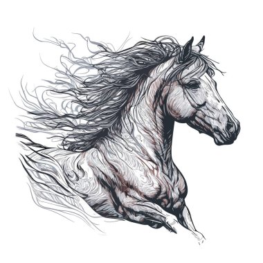 A horse drawn in simple pen and ink. vector illustration, white background, label, sticker, t-shirt design clipart