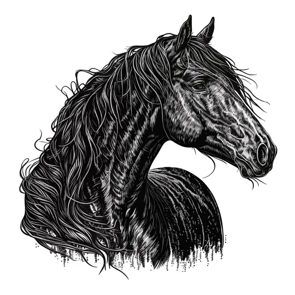 Cavalo Desenhado Tinta Preta Fundo Isolado Ilustração Vetorial Etiqueta Etiqueta —  Vetores de Stock
