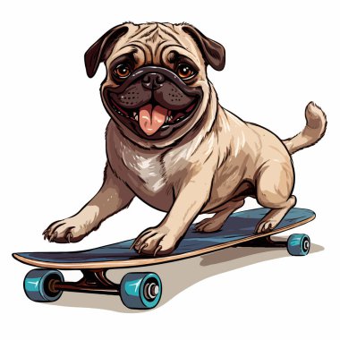 Kaykaylı bir köpek. Güvertede evcil hayvan. Tazı Kaykaycı. 