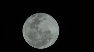 Full moon 15 days old. 100% brightness. Moving up.