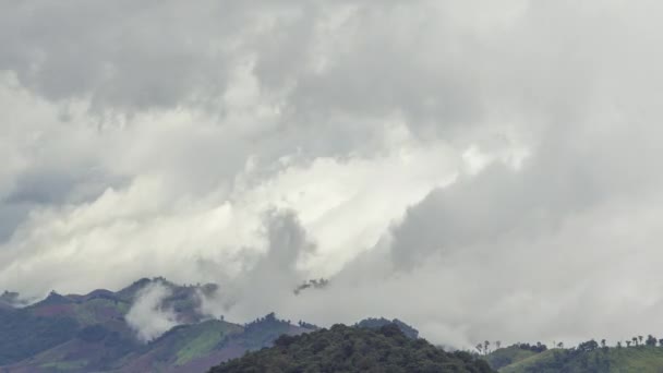 베르크산 정상에 구름이 미스트와 스트라투스의 라포스는 산봉우리와 안개가 자욱하게 있습니다 — 비디오