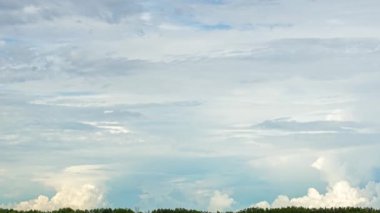 The movement of the Altostratus cloud, which crushed the sky completely.