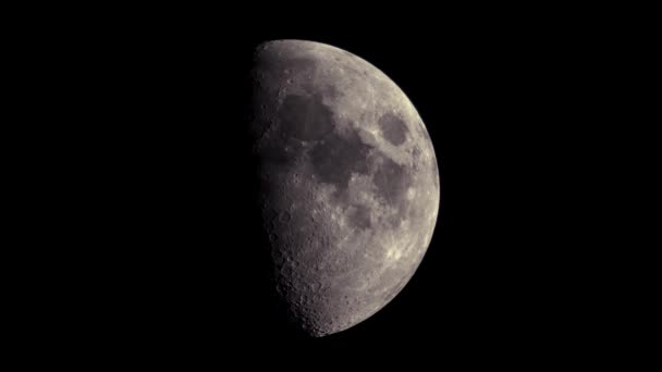 Half Moon First Quarter Moon Highest Position Moving East West — Videoclip de stoc