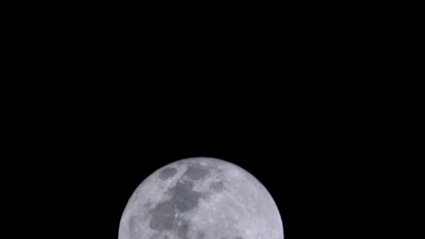 Full Moon December 2019 Moves Bottom Top See Fine Detail — Stok video