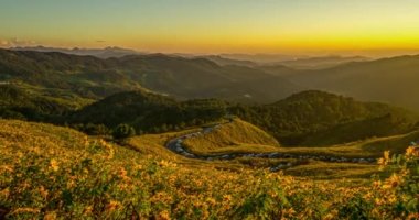 Bua Tong Bua Field, Doi Mae U Kho, Mae Hong Son, Tayland