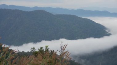 Sabah sisi vadiden geçiyor ve ön planda çiçekler var. Huay Kub Kub, Chiang Mai, Tayland