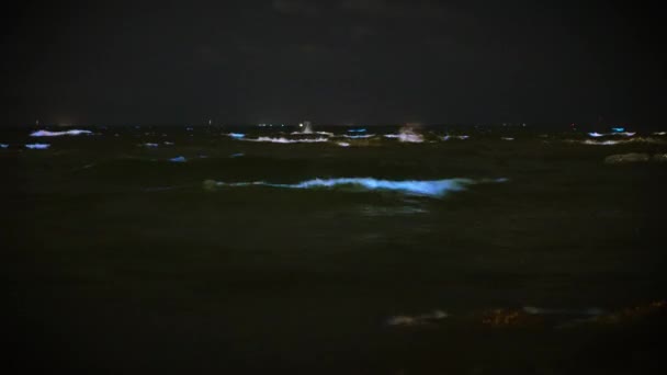 泰国春布里省海域的蓝色荧光浮游生物 在完全黑暗的环境中拍摄 — 图库视频影像