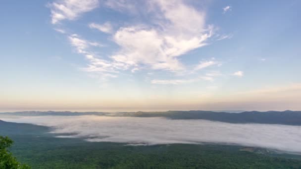 Просторный Красивый Туман Pha Ham Hod Национальный Парк Сай Нгам — стоковое видео