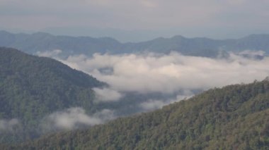 Sabah sisi vadiden geçiyor. Huay Kub Kub, Chiang Mai, Tayland