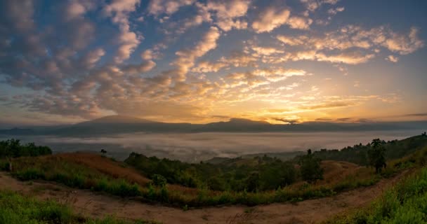 Mlha Příroda Kolem Mon Muen Mak Chiang Mai Thajsko — Stock video