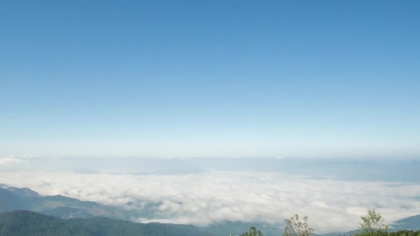 Przestronna Piękna Mgła Pha Ham Hod Park Narodowy Sai Ngam — Wideo stockowe