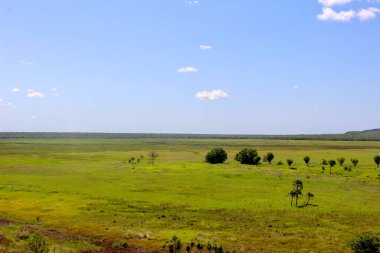 Darwin düz bir kaya görünümünden