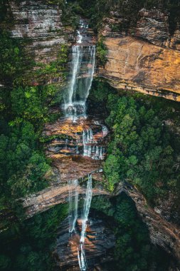 Sydney 'in yanına üç kız kardeş düştü.