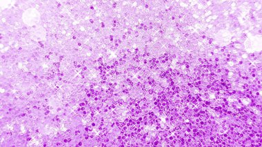 Pembe parıltı çerçeve arkaplan kopyalama alanı