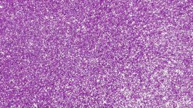 Parlayan yıldızlar ve ışıldayan arka plan