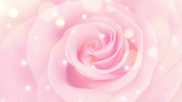 Różowe Płatki Róż Tło — Zdjęcie stockowe