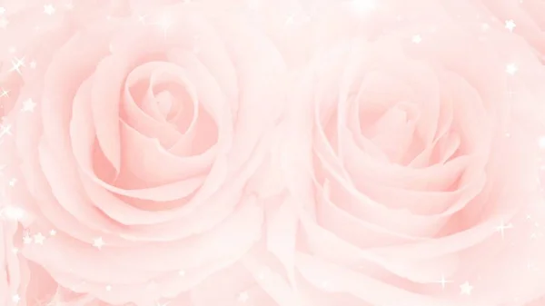 Лепестки Розовых Цветов — стоковое фото