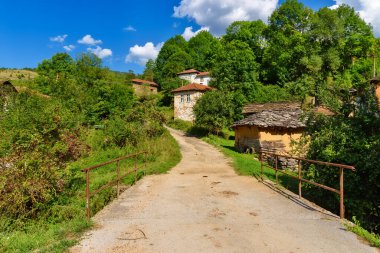Eski Sırp geleneksel evi. Sırbistan 'da insanlar tarafından bir zamanlar nasıl yaşadıklarını göstermek için kullanılan terk edilmiş evler, çoğunlukla 19. yüzyılda..