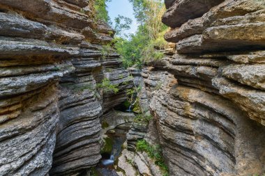 Stara Planina dağlarında Rosomacki Lonci kanyonu (Rosomacki kanyonu), alışılmadık şekiller nedeniyle, girdaplarla çeşitli uzantılarla kaplı Rosomacki kapları olarak adlandırılır.
