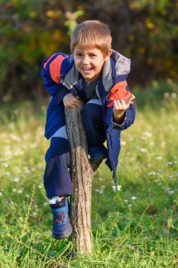 Sonbahar sarı parkında bir kütüğün yanında neşeli küçük adam.