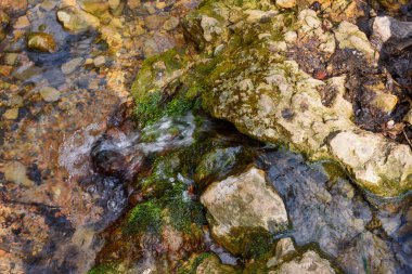 Sırbistan 'daki Fruska gora dağında Lazin Vir şelalesi. Bu şelale Fruska Gora 'nın tacı..