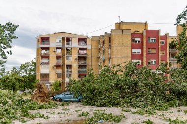 Novi Sad, Sırbistan - 20 Temmuz 2023: Rüzgar fırtınası sonrasında devrilen ağacın altında kalan araba. Araba Sigortası