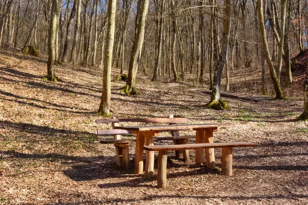 Lazin vir Picnic Area on mountain Fruska Gora, Serbia. Located in the central part of Fruska Gora, and one of the largest and most popular picnic areas.