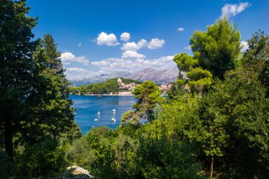 Cavtat, Hırvatistan - 11 Ağustos 2023: Cavtat (Hırvatistan) birçok otel ve restoranı olan popüler bir turizm merkezi. Dalmaçya 'nın güneyindeki güzel Cavtat kasabası