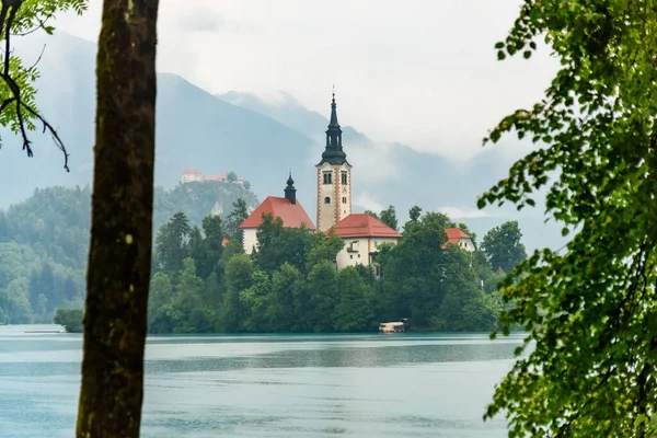 Bled, Slovenya - 28 Haziran 2023: Slovenya 'da Güzel Göl Bled.