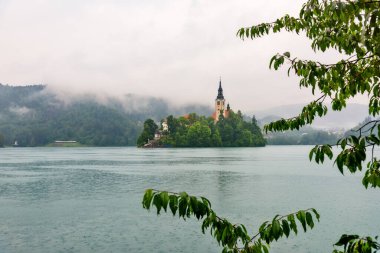 Bled, Slovenya - 28 Haziran 2023: Slovenya 'da Güzel Göl Bled.