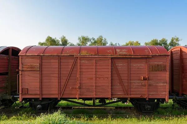 Jasenovac, Hırvatistan - 27 Haziran 2023: Jasenovac ölüm kampı içinde demiryolu yük vagonu, Hırvatistan 'da sınır dışı edilenleri taşımak için kullanıldı.
