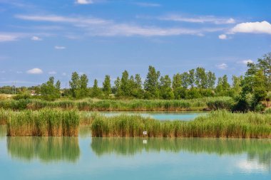 Zmajevo Lakes - Zmajevacka jezera in Vojvodina, Serbia clipart