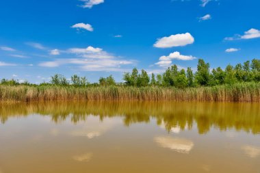 Zmajevo Lakes - Sırbistan 'ın Voyvodina kentinde Zmajevacka jezera
