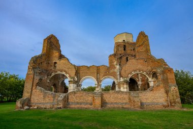 Araa (Macarca: Aracs), Sırbistan 'ın Novi Beej kentinde yaklaşık 12 km' lik bir Romen harabesidir..