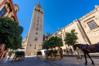 Seville, İspanya - 01 Ağustos 2024: Sevilla Katedrali (Katedral de Santa Maria de la Sede), İspanya, Endülüs 'te Gotik stil mimarisi. İspanya, Sevilla 'nın tarihi binaları ve anıtları.