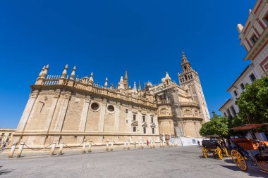 Seville, İspanya - 01 Ağustos 2024: Sevilla Katedrali (Katedral de Santa Maria de la Sede), İspanya, Endülüs 'te Gotik stil mimarisi. İspanya, Sevilla 'nın tarihi binaları ve anıtları.