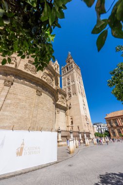 Seville, Spain - August 01, 2024: Sevilla Cathedral (Catedral de Santa Maria de la Sede), Gothic style architecture in Spain, Andalusia. Historic buildings and monuments of Seville, Spain. clipart