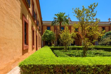 Sevilla, İspanya - 01 Ağustos 2024: Royal Palace 'daki Patio de las Doncellas, Seville, Endülüs, İspanya' daki Real Alcazar (1360 yılında inşa edildi). Sevilla 'nın Alcazar' ı, resmi adı Sevilla Kraliyet Alcazar 'ı.,