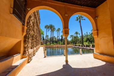 Sevilla, İspanya - 01 Ağustos 2024: Royal Palace 'daki Patio de las Doncellas, Seville, Endülüs, İspanya' daki Real Alcazar (1360 yılında inşa edildi). Sevilla 'nın Alcazar' ı, resmi adı Sevilla Kraliyet Alcazar 'ı.,