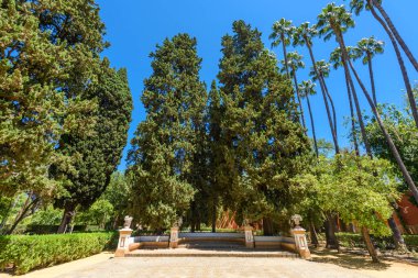 Sevilla, İspanya - 01 Ağustos 2024: Royal Palace 'daki Patio de las Doncellas, Seville, Endülüs, İspanya' daki Real Alcazar (1360 yılında inşa edildi). Sevilla 'nın Alcazar' ı, resmi adı Sevilla Kraliyet Alcazar 'ı.,