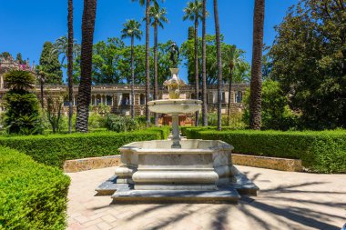 Sevilla, İspanya - 01 Ağustos 2024: Royal Palace 'daki Patio de las Doncellas, Seville, Endülüs, İspanya' daki Real Alcazar (1360 yılında inşa edildi). Sevilla 'nın Alcazar' ı, resmi adı Sevilla Kraliyet Alcazar 'ı.,