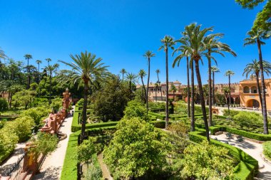 Sevilla, İspanya - 01 Ağustos 2024: Royal Palace 'daki Patio de las Doncellas, Seville, Endülüs, İspanya' daki Real Alcazar (1360 yılında inşa edildi). Sevilla 'nın Alcazar' ı, resmi adı Sevilla Kraliyet Alcazar 'ı.,
