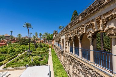 Sevilla, İspanya - 01 Ağustos 2024: Royal Palace 'daki Patio de las Doncellas, Seville, Endülüs, İspanya' daki Real Alcazar (1360 yılında inşa edildi). Sevilla 'nın Alcazar' ı, resmi adı Sevilla Kraliyet Alcazar 'ı.,