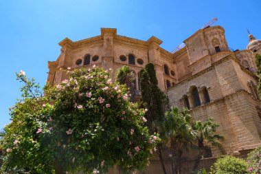 Malaga, İspanya - 06 Ağustos 2024: Malaga Katedrali veya Santa Iglesia Katedrali Baslica de la Encarnacin 'in kilise kulesi