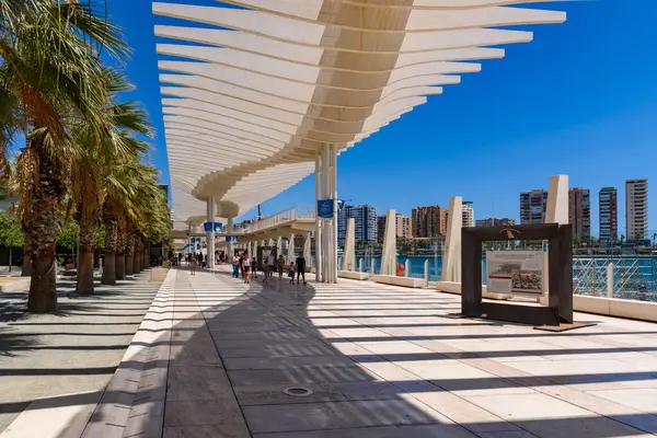 Malaga, İspanya - 06 Ağustos 2024: Palmeral de las Sorpresas limanında geziniyor. Malaga, Endülüs