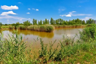 Zmajevo Lakes - Sırbistan 'ın Voyvodina kentinde Zmajevacka jezera