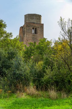 Araca (Macarca: Aracs), Sırbistan 'ın Novi Becej kentinde yaklaşık 12 km' lik bir orta çağ Romen kilisesi kalıntısı..