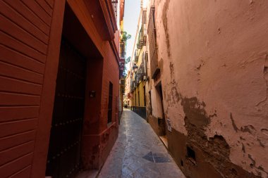 Seville, İspanya - 01 Ağustos 2024: Seville, İspanya 'nın eski kentinin sokaklarında yürümek.
