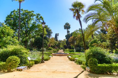 Seville, İspanya - 01 Ağustos 2024: Sevilla, İspanya 'daki Parque de Mara Luisa
